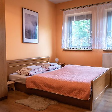 Apartament Domino - Krzeptowki 06 Zakopane Exterior foto